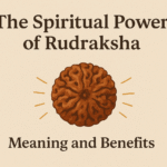 The Spiritual Power of Rudraksha Meaning and Benefits